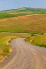 USA-Idaho-Genesee Green wheat fields Gravel-dirt road Art Print